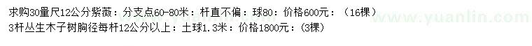 求购30量12公分紫薇、丛生木子树