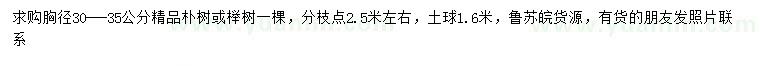 求购胸径30-35公分朴树、榉树