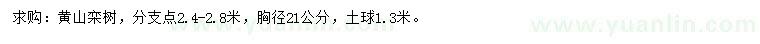 求购胸径21公分黄山栾树