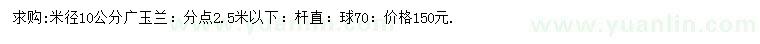 求购米径10公分广玉兰