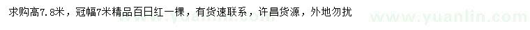 求购高7.8米百日红