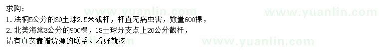 求购5公分法桐、3公分北美海棠