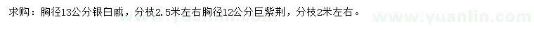 求购胸径13公分银白槭、胸径12公分巨紫荆