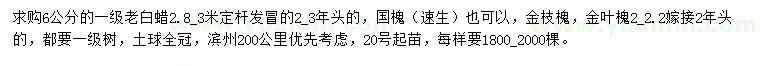 求购老白蜡、国槐、金枝槐等