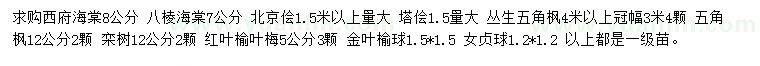 求购西府海棠、八棱海棠、北京桧等