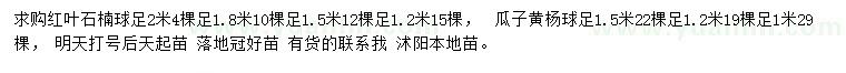 求购1.2、1.5、1.8、2米红叶石楠球、1、1.2、1.5米瓜子黄杨球