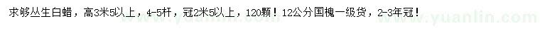 求购高3.5米以上丛生白蜡、12公分国槐
