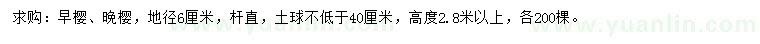 求购地径6公分早樱、晚樱