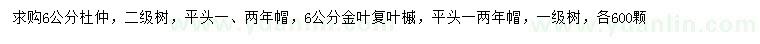 求购6公分、金叶复叶槭