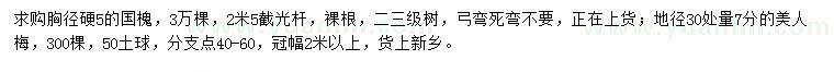 求购胸径5公分国槐、30量7公分美人梅