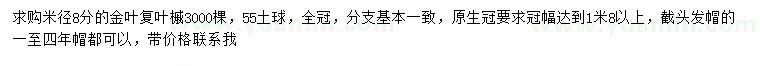 求购米径8公分金叶复叶槭