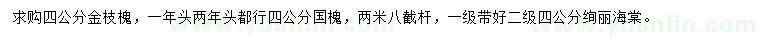 求购金枝槐、国槐、绚丽海棠