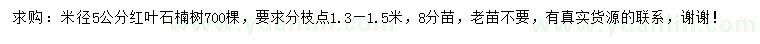 求购米径5公分红叶石楠