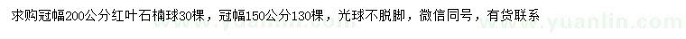 求购冠幅150、200公分红叶石楠球