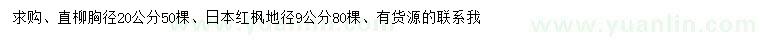 求购胸径20公分直柳、地径9公分日本红枫