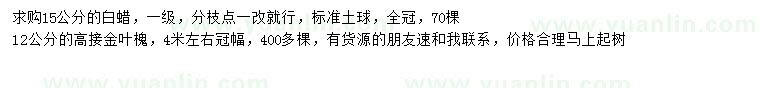 求购15公分白蜡、12公分金叶槐