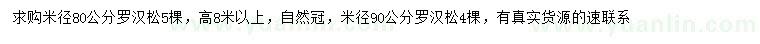 求购米径80、90公分罗汉松