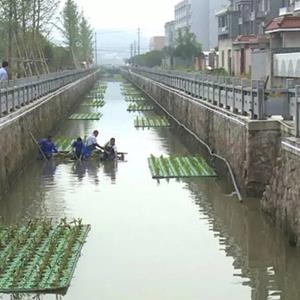 浮床_水上种菜自制浮床_绿化工程承包