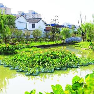 水质净化人工浮床_河道绿化浮岛图片_莲花浮岛景观