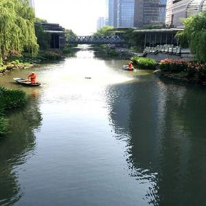 水面浮岛_河道生态修复工程方案_水上绿化浮岛