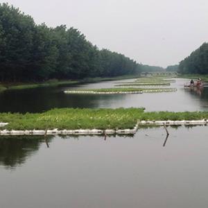 河道治理浮岛_水生植物_河道生态浮岛设计安装一体