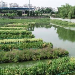 水面稻田浮岛_生物浮床_什么叫水面绿化