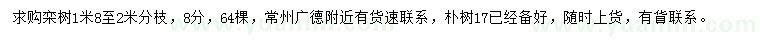 求购8公分栾树、17公分朴树