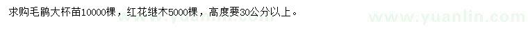 求购高30公分以上毛鹃、红花继木