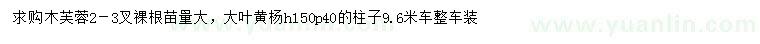 求购2-3杆木芙蓉、高150公分大叶黄杨柱