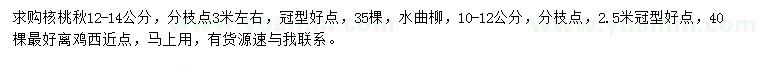 求购12-14公分核桃楸、10-12公分水曲柳