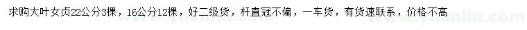 求购16、22公分大叶女贞