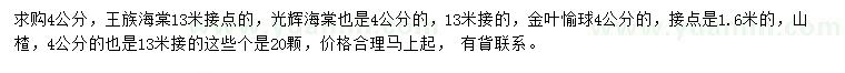 求购王族海棠、光辉海棠、金叶榆球等