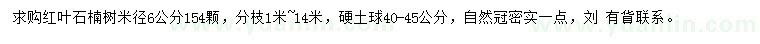 求购米径6公分红叶石楠