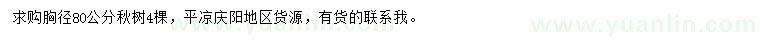 求购胸径80公分楸树