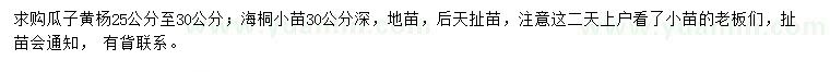 求购25-30公分瓜子黄杨、高30公分海桐