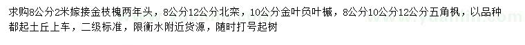 求购金枝槐、北栾、金叶复叶槭等