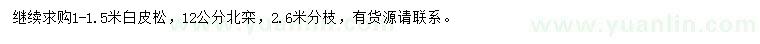求购1-1.5米白皮松、12公分北栾