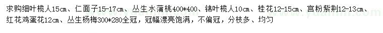 求购细叶榄仁、仁面子、丛生水蒲桃等