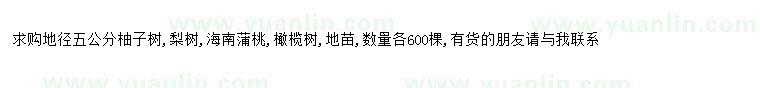 求购求购地径5公分柚子树、梨树、海南蒲桃、橄榄树