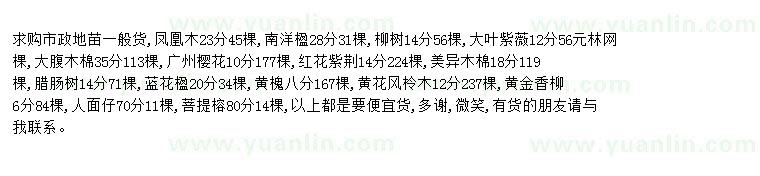 求购求购凤凰木、南洋楹、柳树、大叶紫薇、大腹木棉、广州樱花