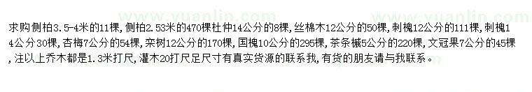 求购求购侧柏3.5-4米11棵