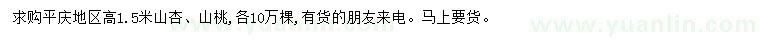 求购高1.5米山杏、山桃