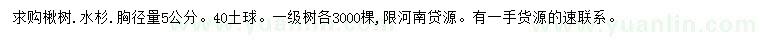 求购胸径5公分楸树、水杉