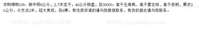 求购109柳树、银中杨、高杆五角枫等