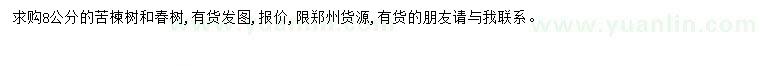 求购8公分苦楝树、春树