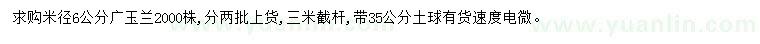 求购米径6公分广玉兰