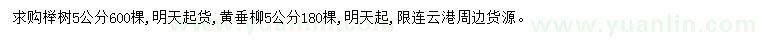 求购5公分榉树、黄垂柳