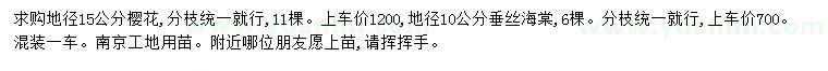 求购地径15公分樱花、地径10公分垂丝海棠