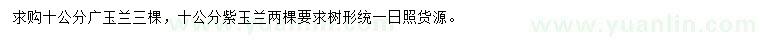 求购10公分广玉兰、紫玉兰