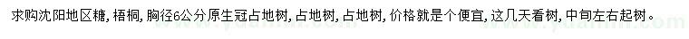 求购胸径6公分糖槭、梧桐